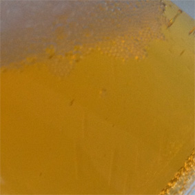 SteamRail Pale Ale - GLASS